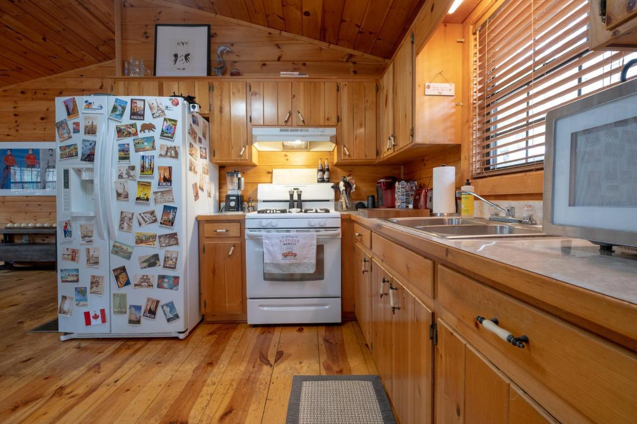Вілла Three Dog Night - Pet-Friendly Cabin With Hot Tub Блу-Ридж Екстер'єр фото