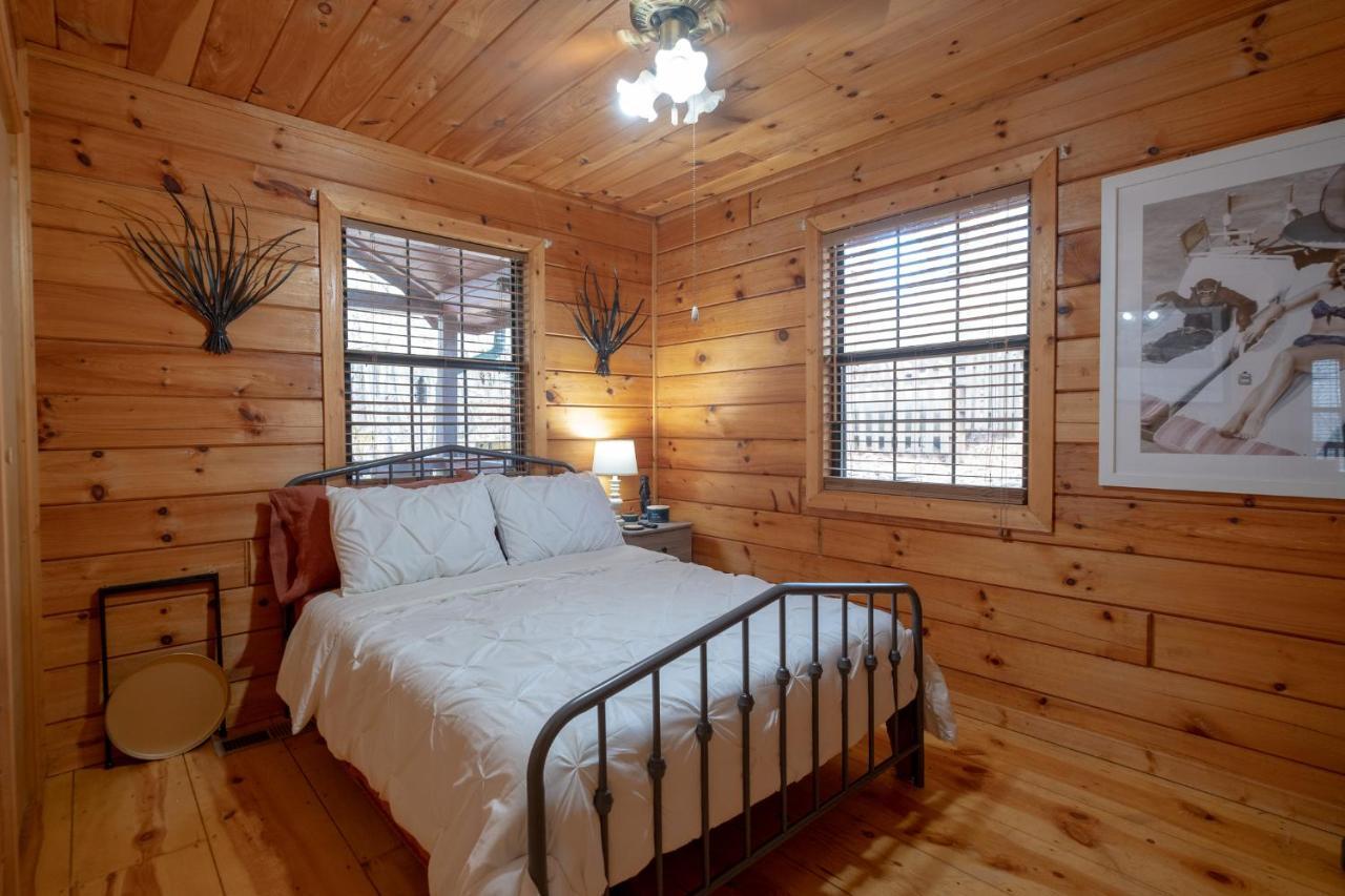 Вілла Three Dog Night - Pet-Friendly Cabin With Hot Tub Блу-Ридж Екстер'єр фото