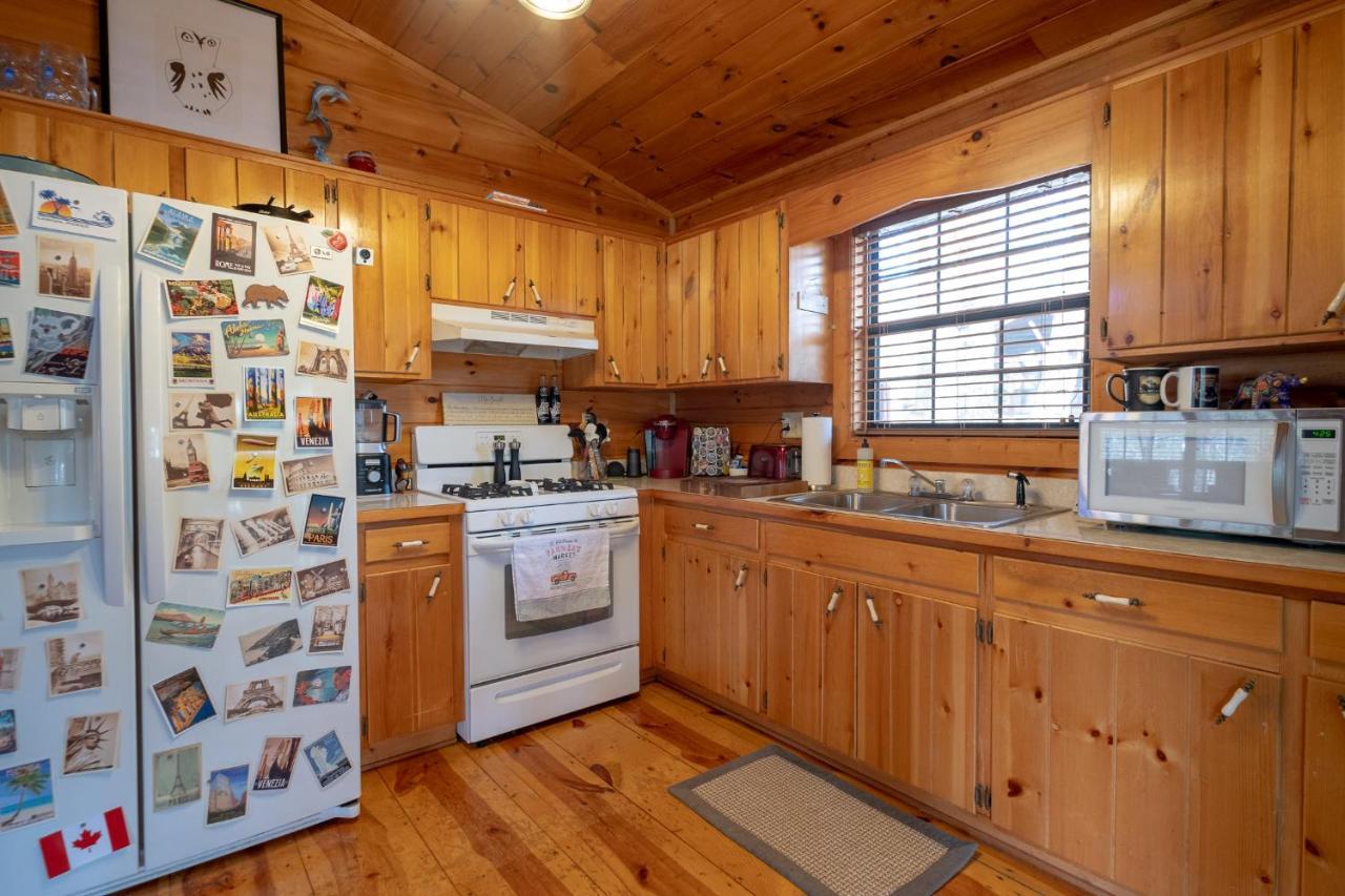 Вілла Three Dog Night - Pet-Friendly Cabin With Hot Tub Блу-Ридж Екстер'єр фото
