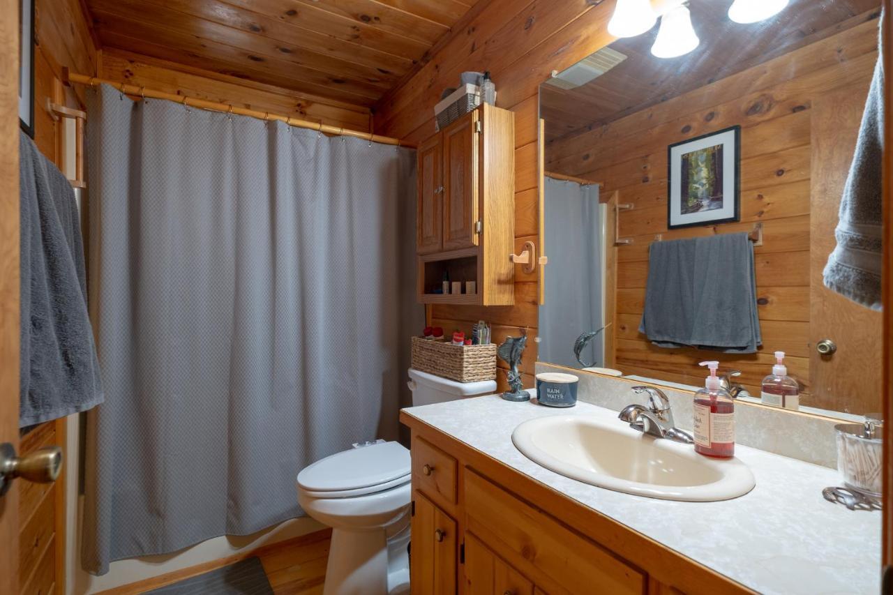 Вілла Three Dog Night - Pet-Friendly Cabin With Hot Tub Блу-Ридж Екстер'єр фото